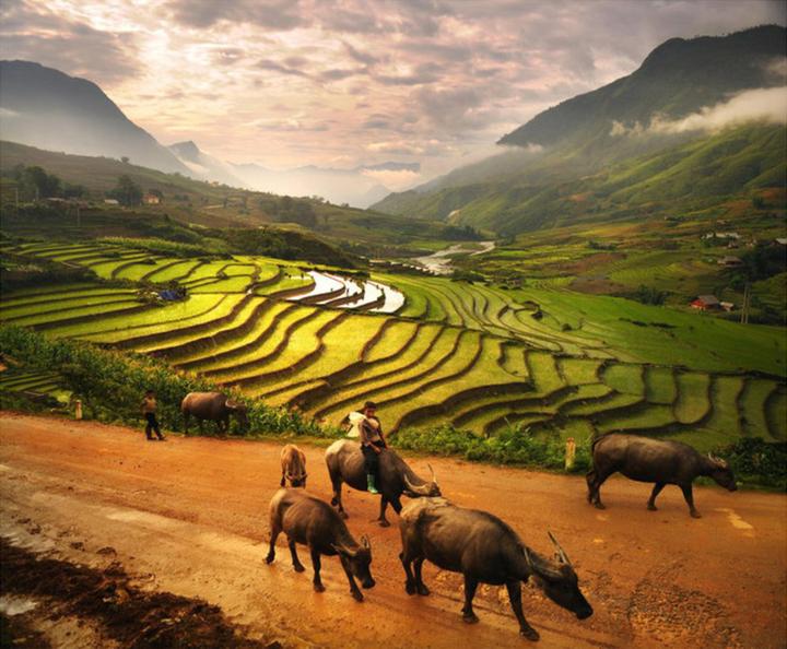 1. Tiêu đề: [Hotspot Matrix] Những cú trở ngại trở thành 