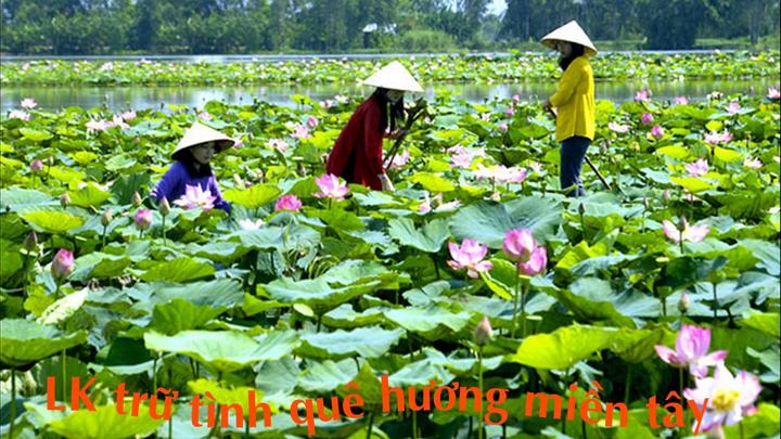 4 kiểu áo không thể thiếu - Cảm hứng video marketing từ Hotspot Matrix