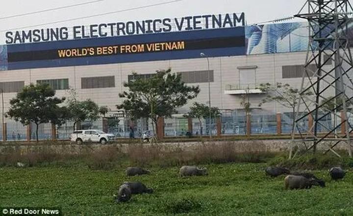 HOT: Camera siêu zoom “bóc” - Cảm hứng video marketing từ Hotspot Matrix